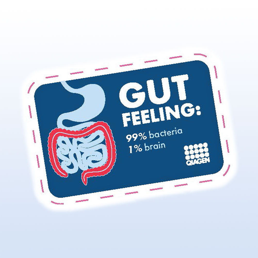 GIVE STKR M2M Gut bacteria and brain